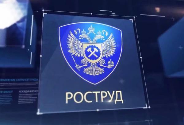 Вопросы работников и работодателей через онлайн инспекцию Роструда